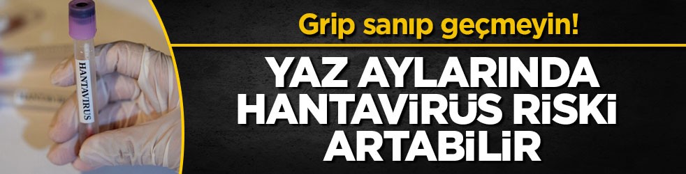 Grip sanıp geçmeyin! Yaz aylarında hantavirüs riski artabilir