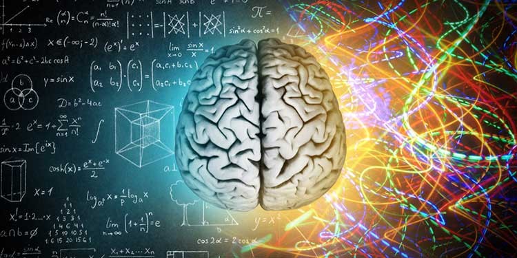  Güçlü bir hafıza için ne yenmeli ne yenmemeli?