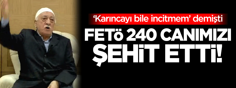 Gülen: Karıncayı bile incitmem