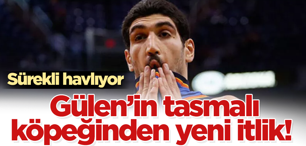 Gülen'in tasmalı köpeğinden yeni itlik! Sürekli havlıyor