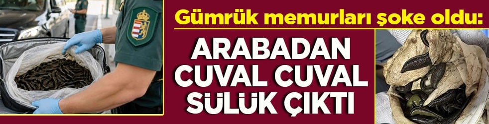 Gümrükçüler şoke oldu: Arabadan çuval çuval sülük çıktı
