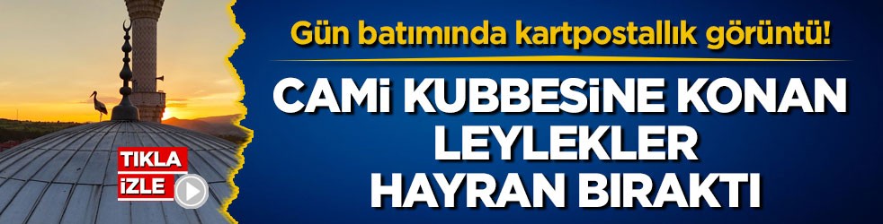 Gün batımında kartpostallık görüntü! Cami kubbesine konan leylekler hayran bıraktı
