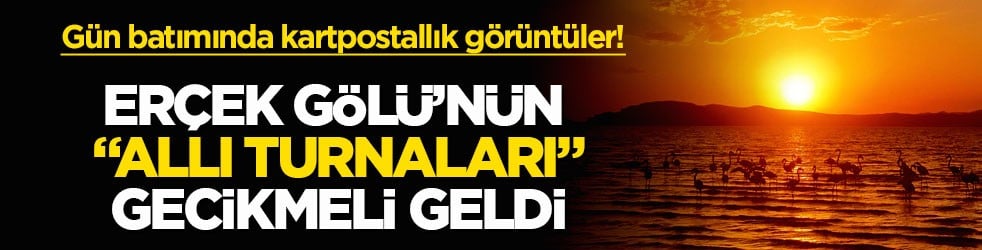 Gün batımında ortaya çıkan kartpostallık görüntüler! Erçek Gölü’nün "allı turnaları" gecikmeli geldi!