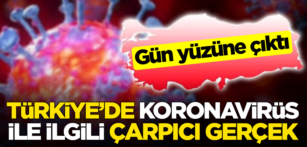 Gün yüzüne çıktı... Türkiye'de koronavirüs ile ilgili çarpıcı gerçek