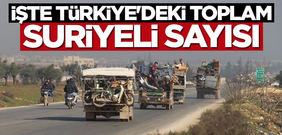 Güncel rakamlar açıklandı: İşte Türkiye'deki toplam Suriyeli sayısı