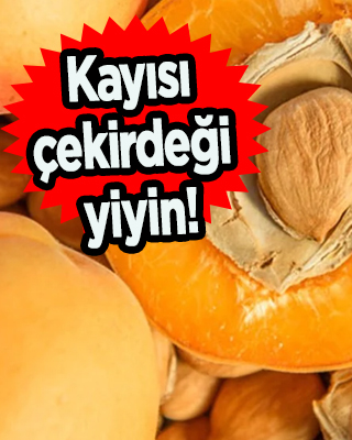 Günde bir avuç kayısı çekirdeği yiyin! İ