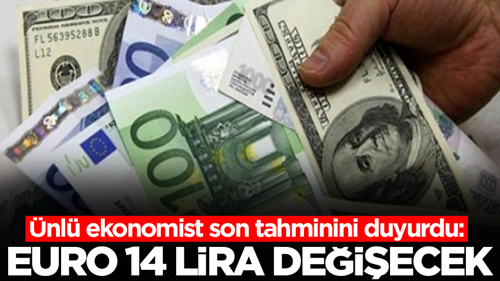 Gündeme oturan çıkış: Euro 14 lira değişecek