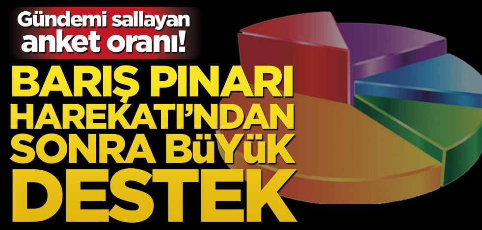 Gündemi sallayan anket oranı! Barış Pınarı Harekatı’ndan sonra büyük destek