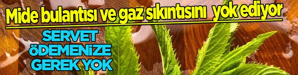Güne mide, gaz sıkıntısı ile başlayanlar: Yemeklerden sonra bunu yapan jet hızında tersine çevirmeyi başardı
