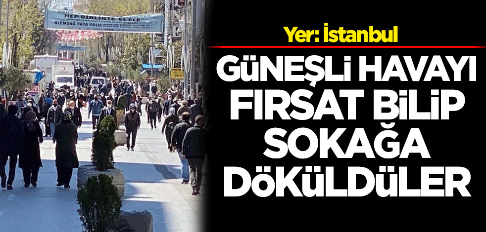 Güneşli havayı fırsat bilip sokağa döküldüler!