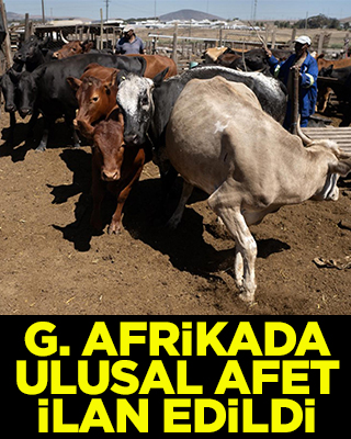 Güney Afrika'da ‘ulusal afet hali’ ilan edildi