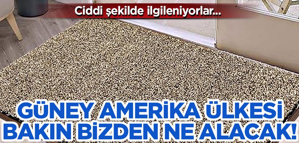 Güney Amerika ülkesinden Türkiye kararı: Surinamlı bir şirket Türkiye'den o ürünü almak istiyor! Talep belli oldu