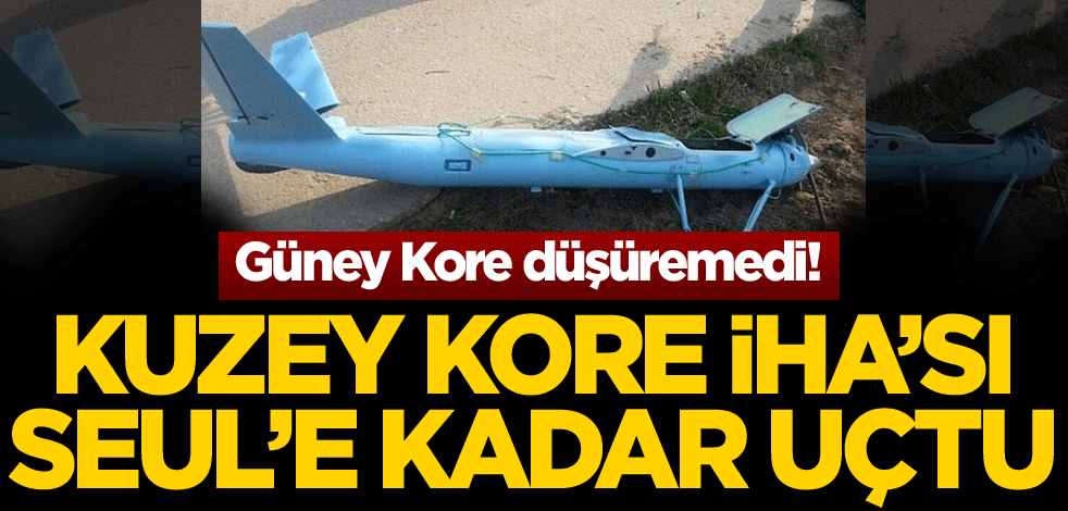 Güney Kore düşüremedi! Kuzey Kore İHA'sı başkent Seul'e kadar uçtu