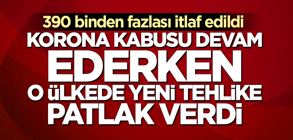 Güney Kore’de kuş gribi tehlikesi!