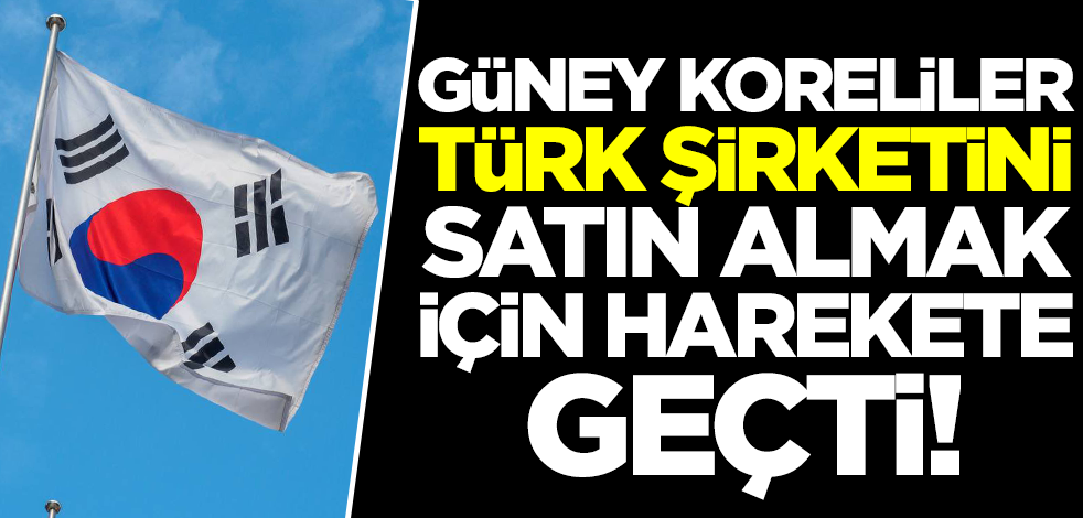 Güney Koreliler Türk şirketini satın almak için apar topar harekete geçti