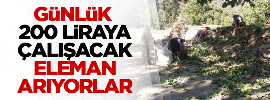 Günlük 200 Liraya çalışacak eleman arıyorlar