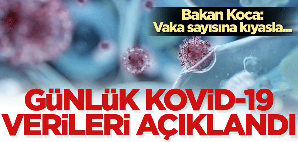 Günlük koronavirüs tablosu açıklandı! Bakan Koca: Vaka sayısına kıyasla...