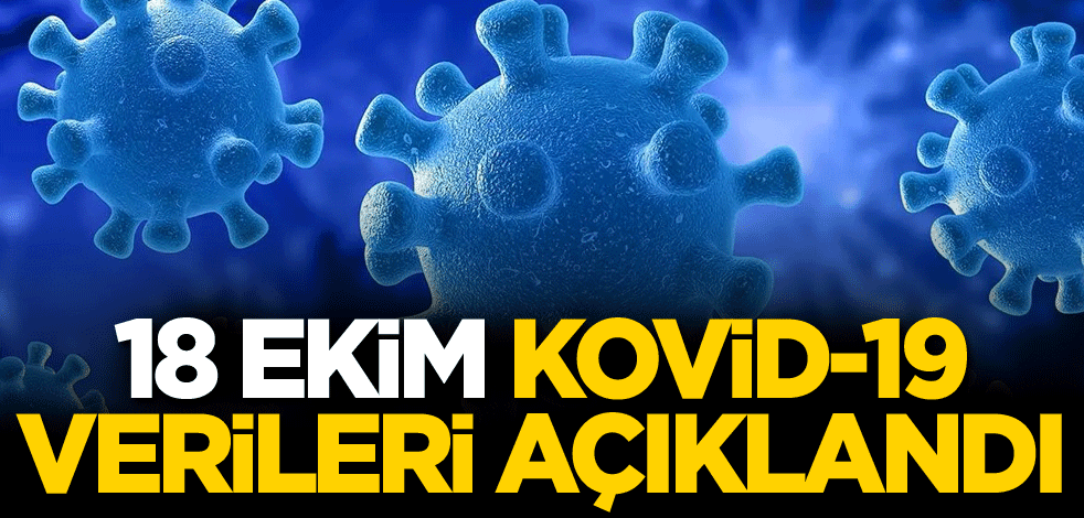 Günlük vaka sayısı açıklandı