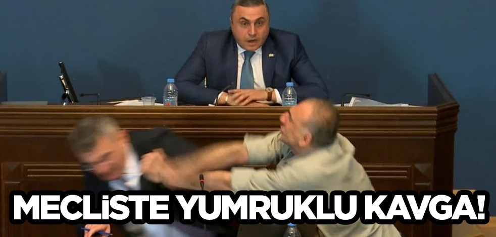 Gürcistan'da yasa tasarısına tepki: Vekiller birbirine girdi, alay konusu oldu! Meclis’te mesai yerine yumruklu kavga