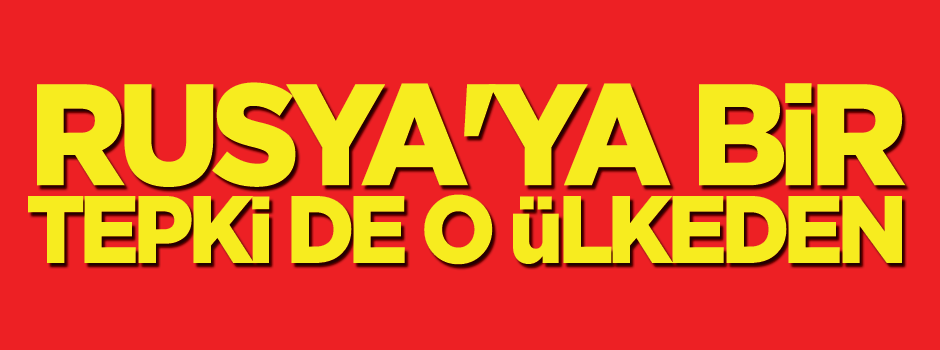 Gürcistan'dan Rus işgaline tepki