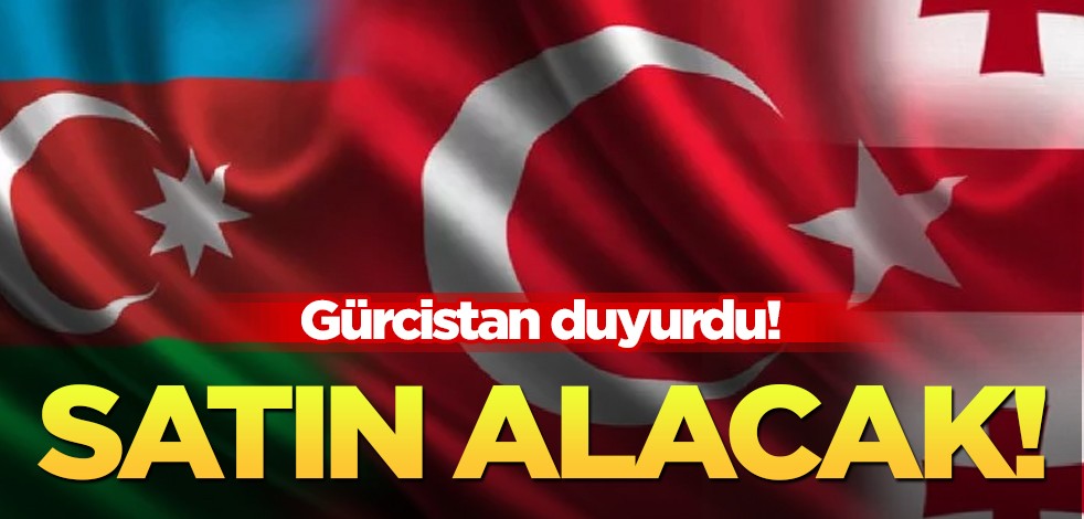 Gürcistan'ın Türkiye’den ahşap palet almak için üretici aradığı ortaya çıktı!