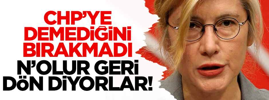 Gürsel Tekin: Tarhan istifasını gözder geçirmeli