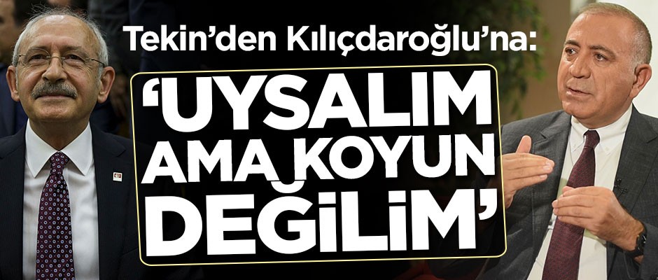 Gürsel Tekin'den Kemal Kılıçdaroğlu'na: Uysal'ım ama koyun değilim