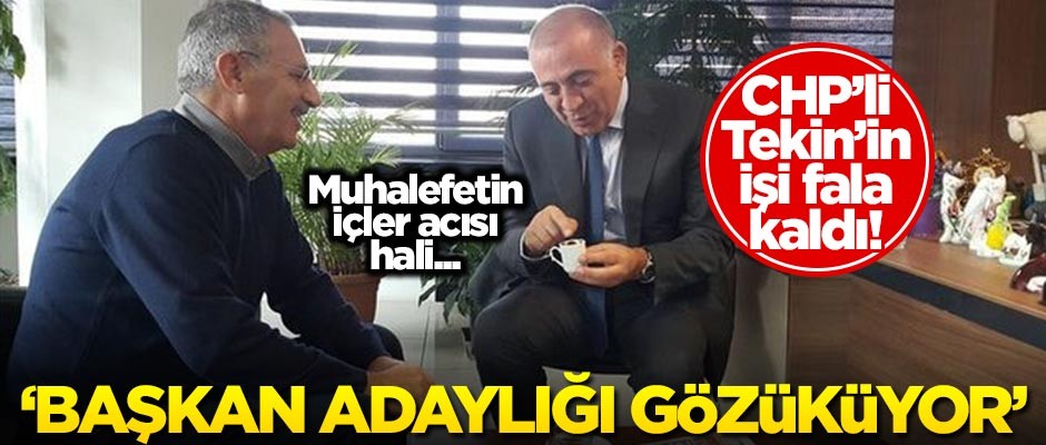 Gürsel Tekin'in işi fala kaldı! "Bak, adaylık gözüküyor"