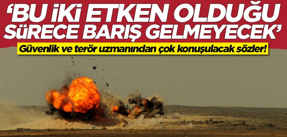 Güvenlik ve terör uzmanından çok konuşulacak sözler: Bu iki etken olduğu sürece barış gelmez