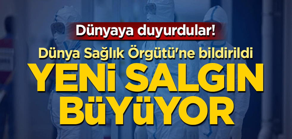 H5N8 tipi kuş gribi salgını büyüyor!
