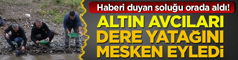 Haberi duyan soluğu orada aldı! Altın avcıları dere yatağını mesken eyledi