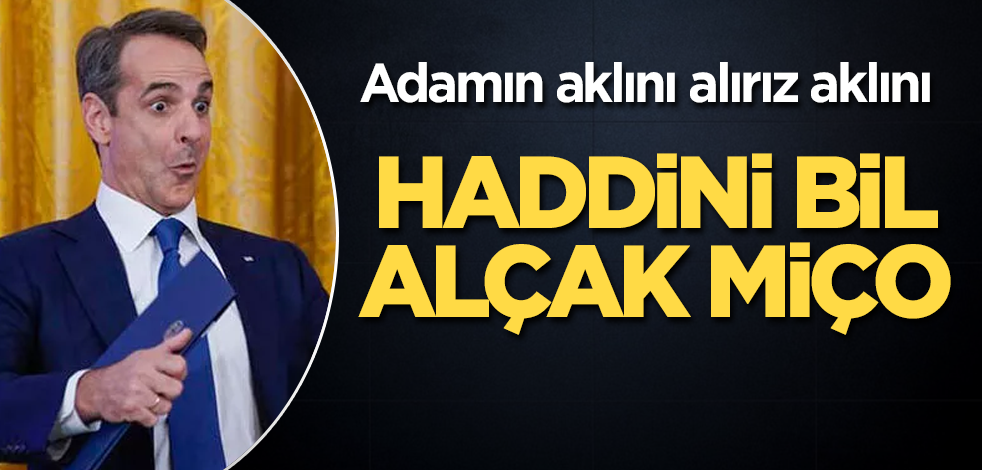 Haddini bil alçak Miço! Adamın aklını alırız aklını