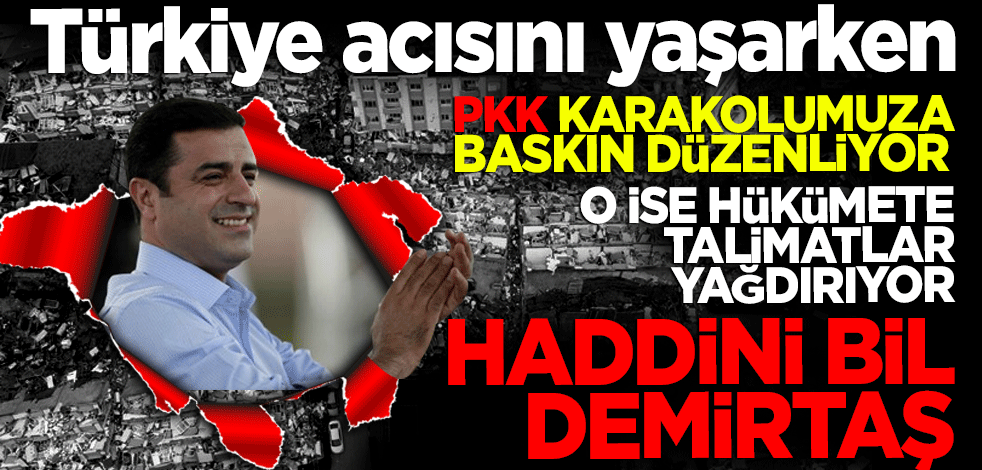 Haddini bil Demirtaş