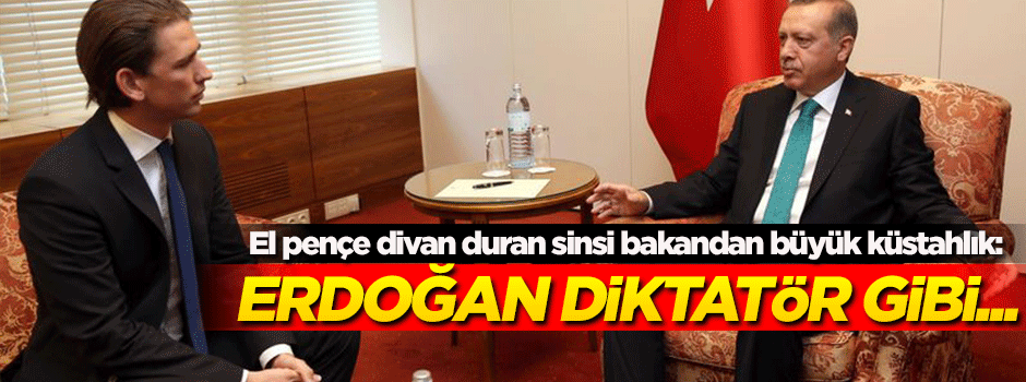 Hadsiz bakandan küstah ifade: Erdoğan diktatör gibi...