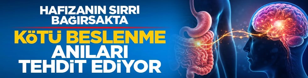 Hafızanın sırrı bağırsakta: Kötü beslenme anıları tehdit ediyor