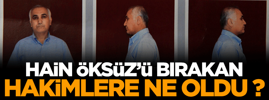 Hain Öksüz'ü bırakan hakimlere ne oldu ?