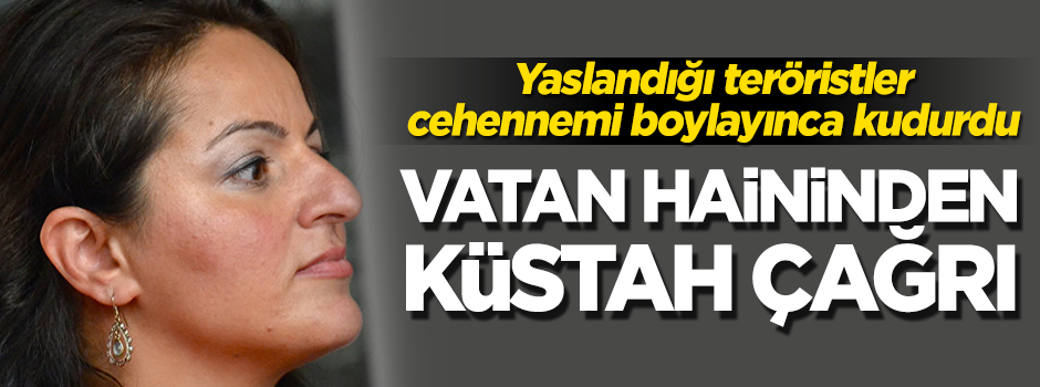 Hain Sevim Dağdelen YPG için yırtınıyor!