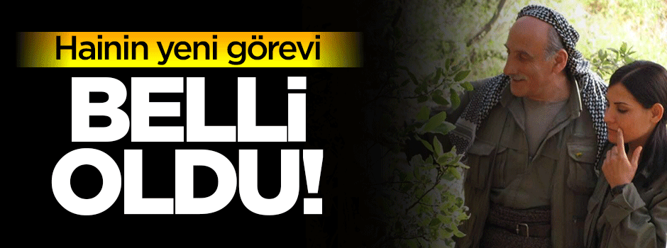 Hainin yeni görevi belli oldu