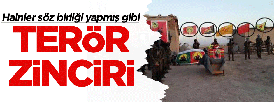 Hainler söz birliği yapmış gibi… Terör zinciri