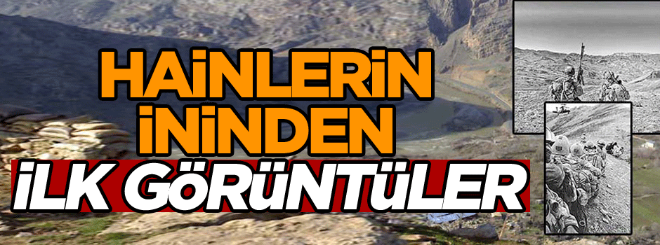 Hainlerin ininden ilk görüntüler