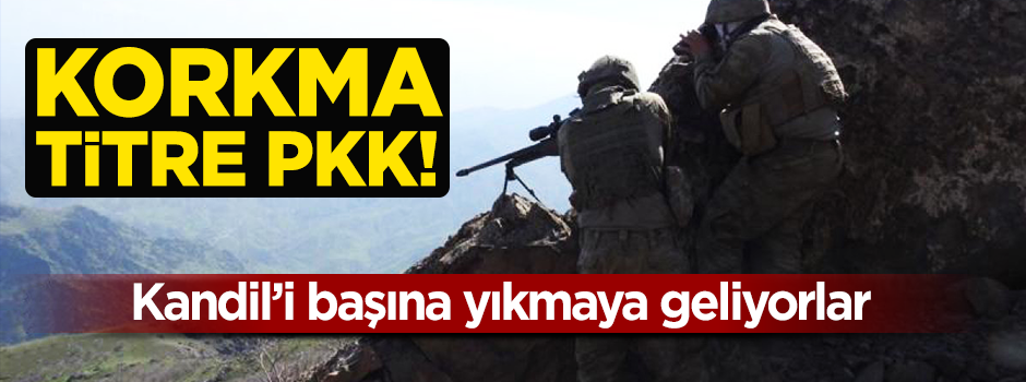 Hainlerin sonu yakın! Mehmetçik Kandil'i başlarına yıkacak
