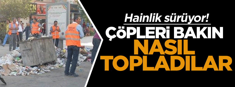 Hainlik sürüyor, çöpleri bakın nasıl topladılar