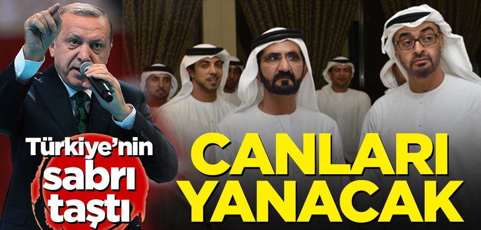 Hakan Çelik: Türkiye'nin yumruğu BAE'ye inmek üzere