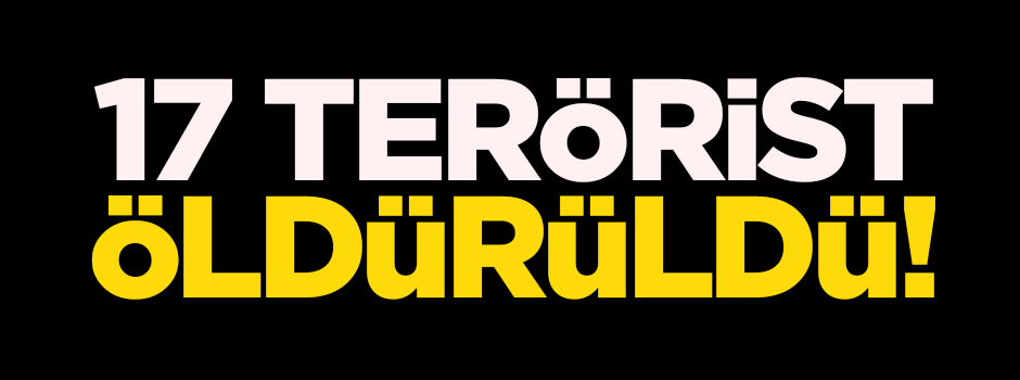 Hakkari ve Siirt'te 17 terörist öldürüldü