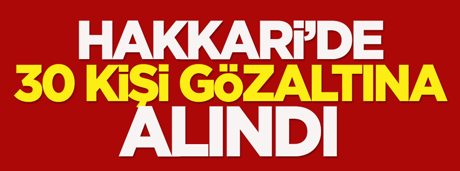 Hakkari'de 30 kişi gözaltına alındı