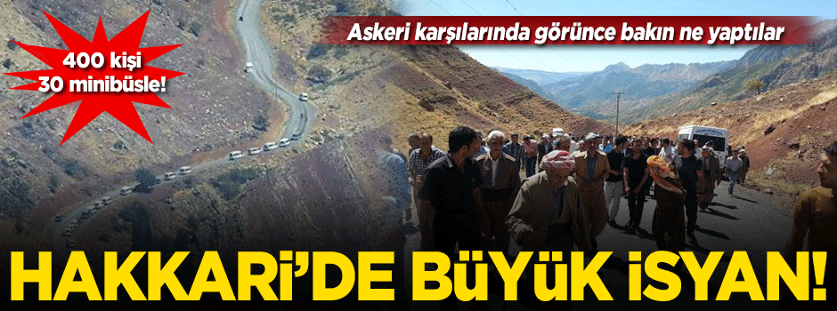 Hakkari'de 400 kişi teröre karşı yürüdü