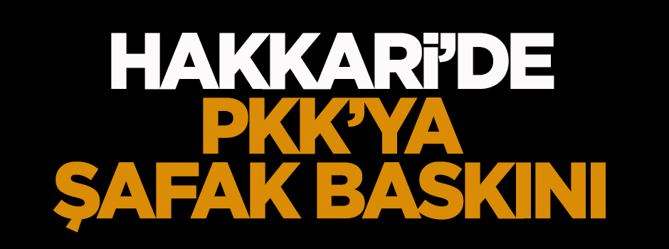 Hakkari'de PKK'ya şafak baskını