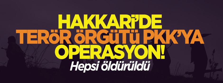 Hakkari'de terör örgütüne operasyon! Hepsi öldürüldü