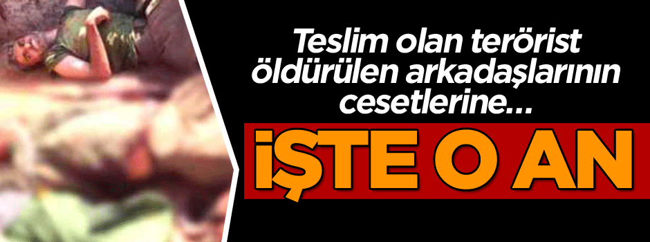 Hakkari’de teslim olan terörist öldürülen arkadaşlarının cesetlerine… İşte o an