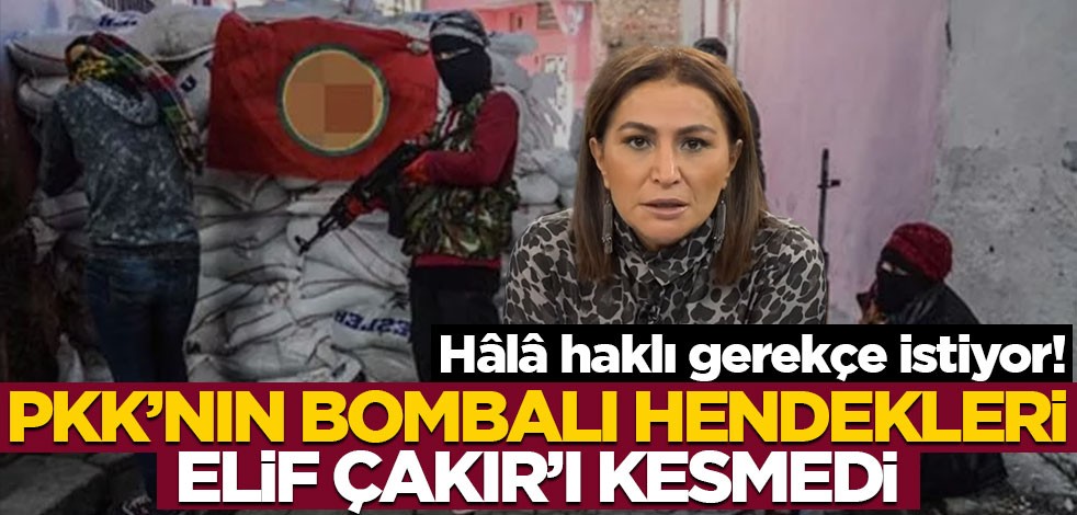 Hâlâ haklı gerekçe istiyor! PKK’nın bombalı hendekleri Elif Çakır’ı kesmedi